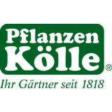 Pflanzen Kölle